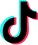 TikTok icon